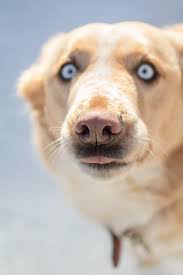 J Steranko Photography