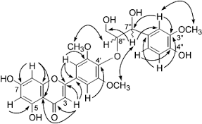Image result for Hyparrhenia collina
