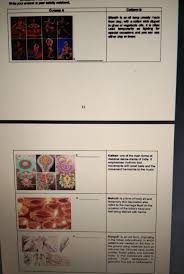 Do the first example together with the students. Define Art Song In Your Own Words Brainly