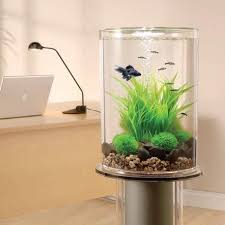 Dekoracyjne Akwarium W Domu Aquarium For Home Decoration Aquarium Fish Tank Betta Fish Tank Tropical Fish Tanks