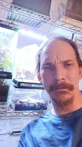 Cute song from TikTok artist Jesse Welles