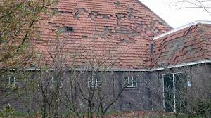 Huizen en auto's raakten beschadigd, duizenden bomen vielen om. Stormschade Landbouw Minstens 10 Miljoen Melkvee Nl Nieuws En Kennis Voor De Melkveehouder