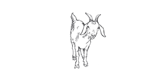 Billy The Kid Not Wanted Dead Or Alive Edible Manhattan Well, well, well, if it isn't stinking, fat billy goat, billy boy in poison! billy the kid not wanted dead or alive
