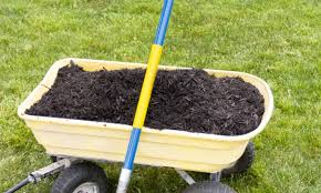 We did not find results for: How To Add Compost To Existing Plants