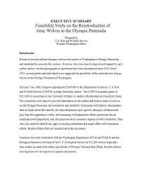 60 Free Feasibility Report Templates Besty Templates Report Template Templates Executive Summary