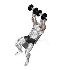 Richten sie das gewicht der hanteln für ihr brusttraining so ein, dass sie für ein muskelaufbautraining pro satz die bewegungen ca. á Brusttraining Mit Hanteln Top 5 Ubungen Bilder Videos
