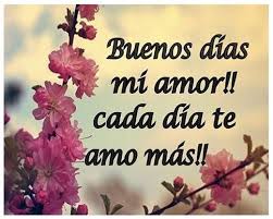 6 Imagenes De Buenos Dias Amor De Mi Vida Buenos Dias Amor Frases De Buenos Dias Imagenes Buenos Dias Amor