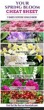 The aerator shoes for lawn or yard are specially designed and they come with spikes. 33 Spring Thinking Ideas Plants Garden Outdoor Gardens