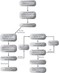 A Flow Chart Describing The Tree And Network Construction