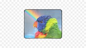 (redirected from lories and lorikeets). Loriini Wellensittich Nymphensittich Ara Rainbow Lorikeet Lories Und Lorikeets Png Herunterladen 500 500 Kostenlos Transparent Papagei Png Herunterladen