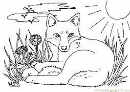 Pin On Coloring Pages