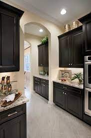 3 Awe Inspiring Kitchen Remodeling Your Lighting Options Ideas Dark Brown Cabinets Home Decor Kitchen Kitchen Design