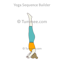 Benefits:• stretches the shoulders, spine, groin, and hamstrings• stimulates the liver and kidneys• improves the digestive system• relieves stress, anxiety. Sirsasana Yoga Salamba Sirsasana Yoga Sequences Benefits Variations And Sanskrit Pronunciation Tummee Com