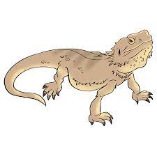 How To Draw A Bearded Dragon Lizard Really Easy Drawing Tutorial Cartoon Lizard Dragon Sketch Easy Drawings