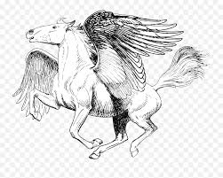 All pegasus coloring pages can be downloaded or printed for free. Pegasus Realistic Pegasus Coloring Pages Png Pegasus Png Free Transparent Png Images Pngaaa Com