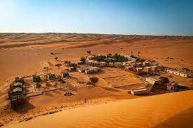 Wahiba sands is renowned for its unique desert ecosystem and surprisingly rich biodiversity. Wahiba Sands Take Me Back Oman