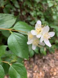 Directors — Northern California Regional Land Trust