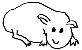 Hier bei konabeun wir haben eine der besten malbuch sammlung. Meerschweinchen Wuschels Malvorlagen