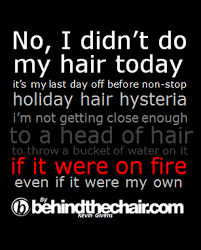 We all have our own clientele, so we are not threatened by other stylists being here. Pin By Julia On Funny Hair Salon Quotes Hair Humor Hairstylist Humor