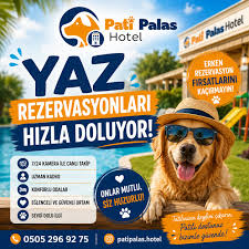 Evdeki Dostlarına 24 Saatlik Eğlence: İşte Yeni Pati Kanalı!