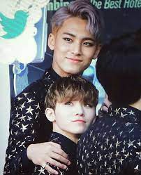 Mingyu & woozi's height difference is still the cutest. Mingyu And Woozi Carat ìºë¿ Amino