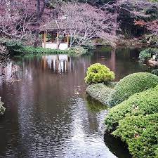 Japanese Garden Fort Worth Texas Fall In Love Of This Place Picture Of Fort Worth Botanic Garden Tripadvisor