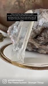 Beverley Dodds (@primalstone)