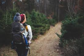 I have broken down this article into three sections. The Best Hikes For Kids Near Denver