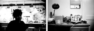 Ashley Vivian Augustine