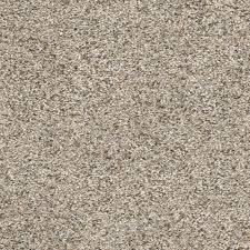 Najczęstszy materiał w home decorators to bawełna. Home Decorators Collection Delight Ii Color Frolic Texture 12 Ft Carpet H5154 154 1200 The Home Depot