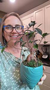 Do I need to repot my new houseplant?