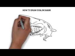 We have collected 39+ goblin shark coloring page images of various designs for you to color. How To Draw Goblin Shark Youtube