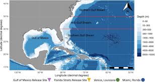 We did not find results for: Frontiers Remote Predictions Of Mahi Mahi Coryphaena Hippurus Spawning In The Open Ocean Using Summarized Accelerometry Data Marine Science