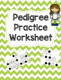 Enzymes worksheet answer key along with 27 best amoeba sisters handouts images on pinterest. Pedigree Worksheets Teaching Resources Teachers Pay Teachers