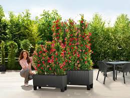 Les arbustes pour pots constituent de parfaites plantes pour terrasse. Decoration De Jardin Quelle Matiere Choisir Pour Ses Pots