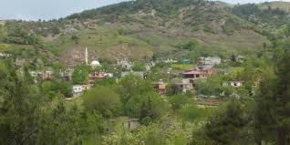 Bahce Burgacli Koyu