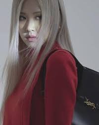 Rose gains followers