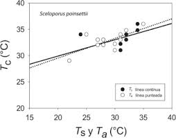 Dicha temperatura varía según el momento del día, aunque suele aceptarse que la. Relacion Entre La Temperatura Corporal Tc De Sceloporus Poinsettii Download Scientific Diagram