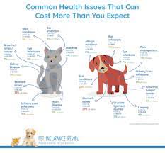 The cost of each pet insurance policy is unique to your pet. The Cost Of Pet Insurance Is It Worth It Pet Insurance Review