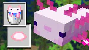 About press copyright contact us creators advertise developers terms privacy policy & safety how youtube works test new features press copyright contact us creators. How Will Axolotls Work In Minecraft 1 17 Preview Youtube