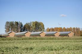 Our farmers dating website brings them all together so you can easily get in touch. Fur Farming Wikipedia