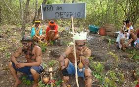 They inhabit nhande ru marangatu, an area of tropical rainforest. Pesquisa Aponta Que Falta De Territorio Causa Direitos Humanos