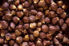 Image result for Aframomum mala