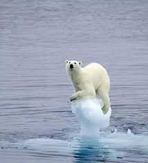 At polar bear air conditioning we believe that when your air conditioning system needs repair, you deserve and honest and professional opinion. Fast Energy Cooling This Summer