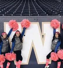 Winnipeg blue bombers | 107th grey cup champions. Winnipeg Blue Bombers Cheer Team 2018 News Events Fabutan