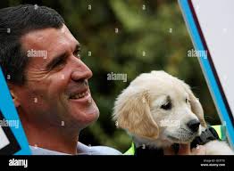 Dublin holds hi-res stock photography and images