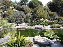 The absolute minimum recommended depth for a small koi pond is 2 feet. Koi Fish Pond Basics Aquatic Veterinary Services