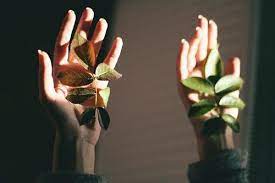 Pin On Plant Manipulation Powers