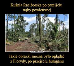 Połamane drzewa w borach tucholskich (gmina osie). Kuznia Raciborska Po Przejsciu Traby Powietrznej Takie Obrazki Mozna Bylo Ogladac Z Florydy Po Przejsciu Huraganu Demotywatory Pl