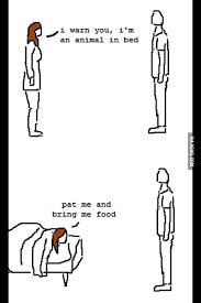 I Warn You Pet Me And Bring Me Food 9gag